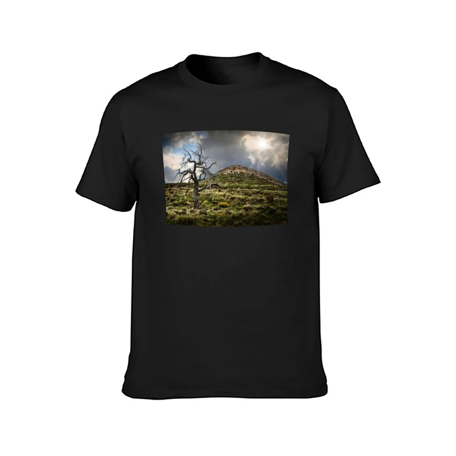 lone tree struck by lightning T-Shirt summer tops blanks summer top graphics T-shirts for men cotton