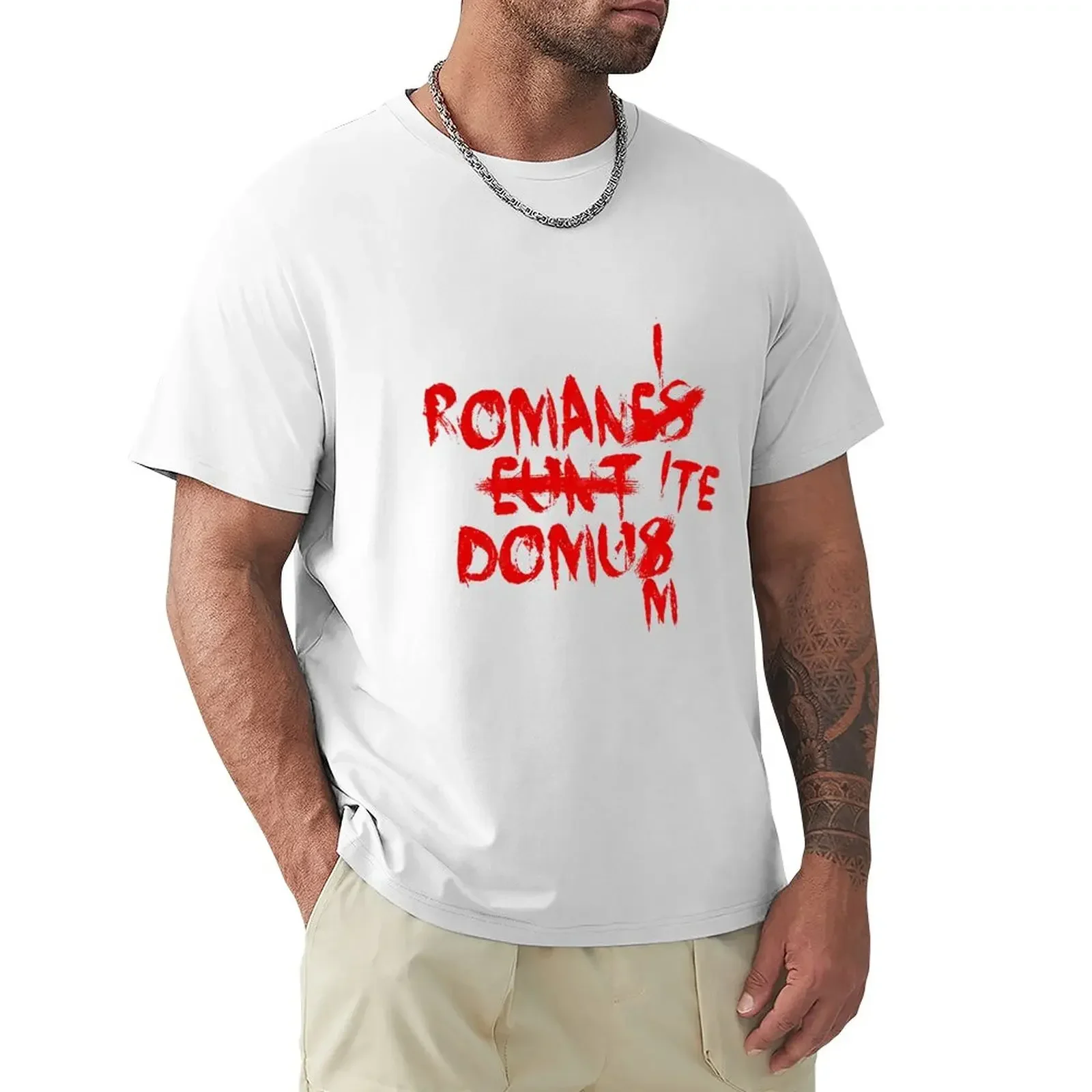 ROMANES EUNT DOMUS Corrected Romans, go home in Latin T-Shirt sweat heavyweights mens vintage t shirts