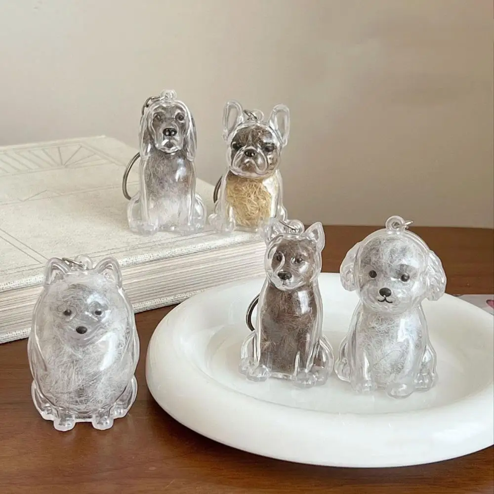 تخزين شعر الحيوانات الأليفة هدية عيد ميلاد الكلب الفراء تخزين قلادة Bichon شكل المفاتيح الإبداعية شفافة لطيف المحمولة الحلي #2