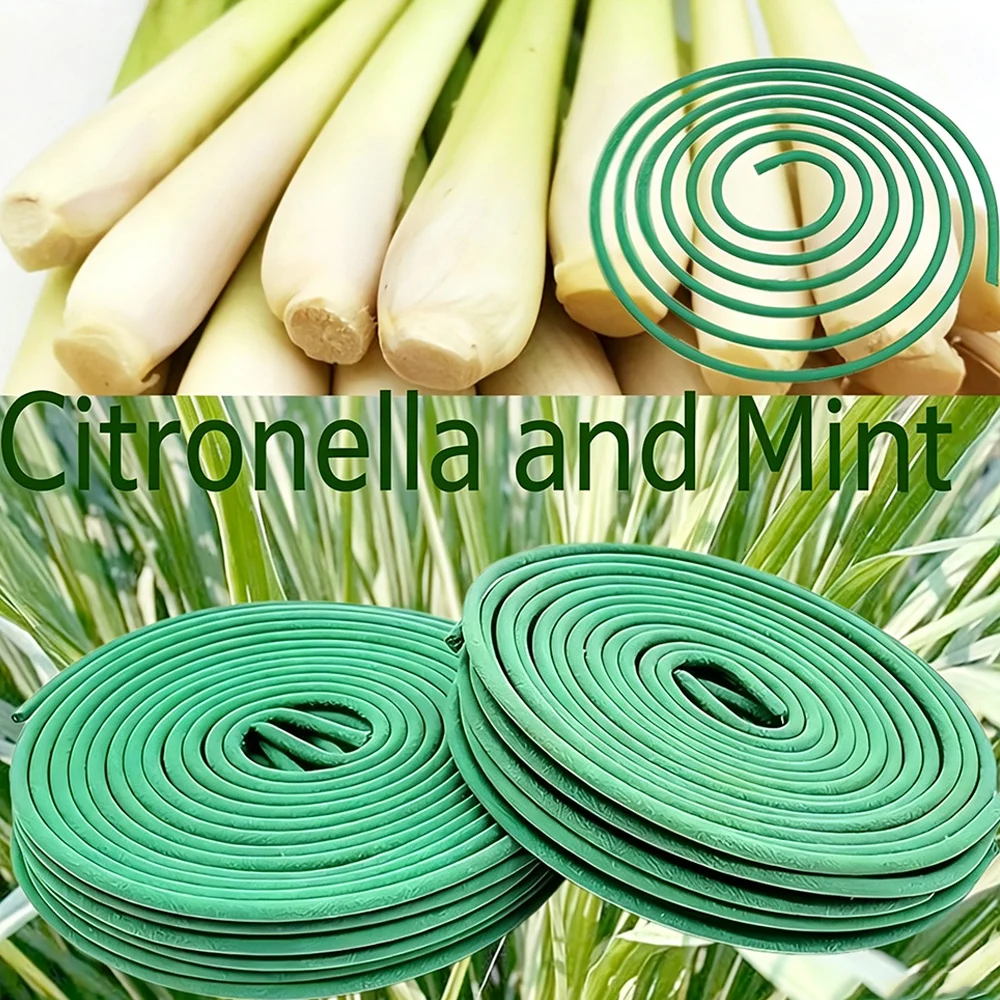 Zitronella- und Minz-Aromatisierte Spiral-Räucherstäbchen, 6 Stück. 3 cm handgemachte Räucherstäbchen mit Zitronengras, Minzblättern und anderen Düften, brennen 3-4 Stunden, leichter und erfrischender Duft, geeignet fü – Detail 5
