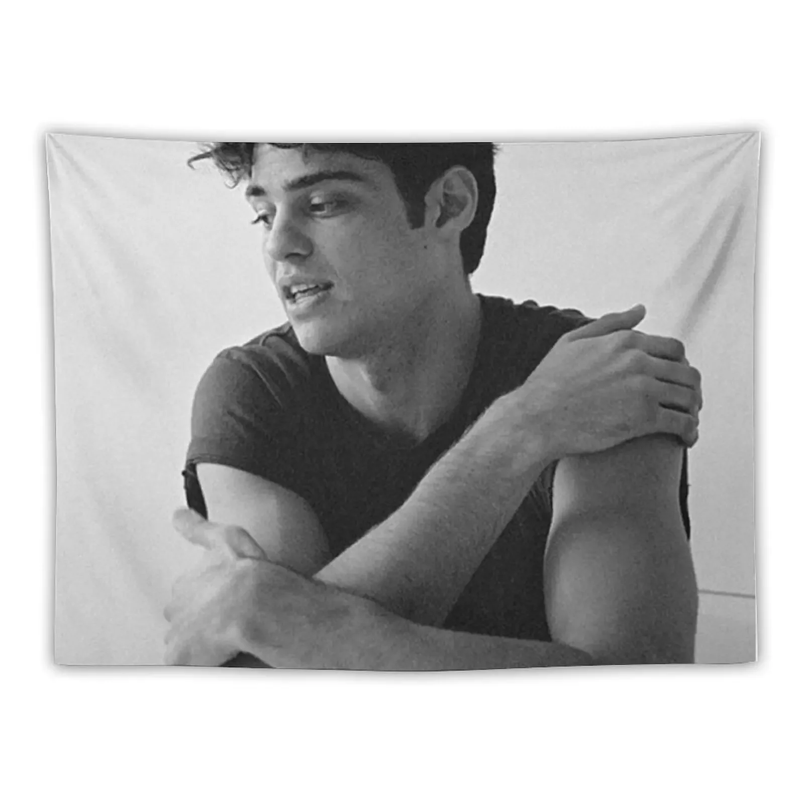 

Noah Centineo B&W Tapestry Christmas Decoration Wallpaper Bedroom Tapestry