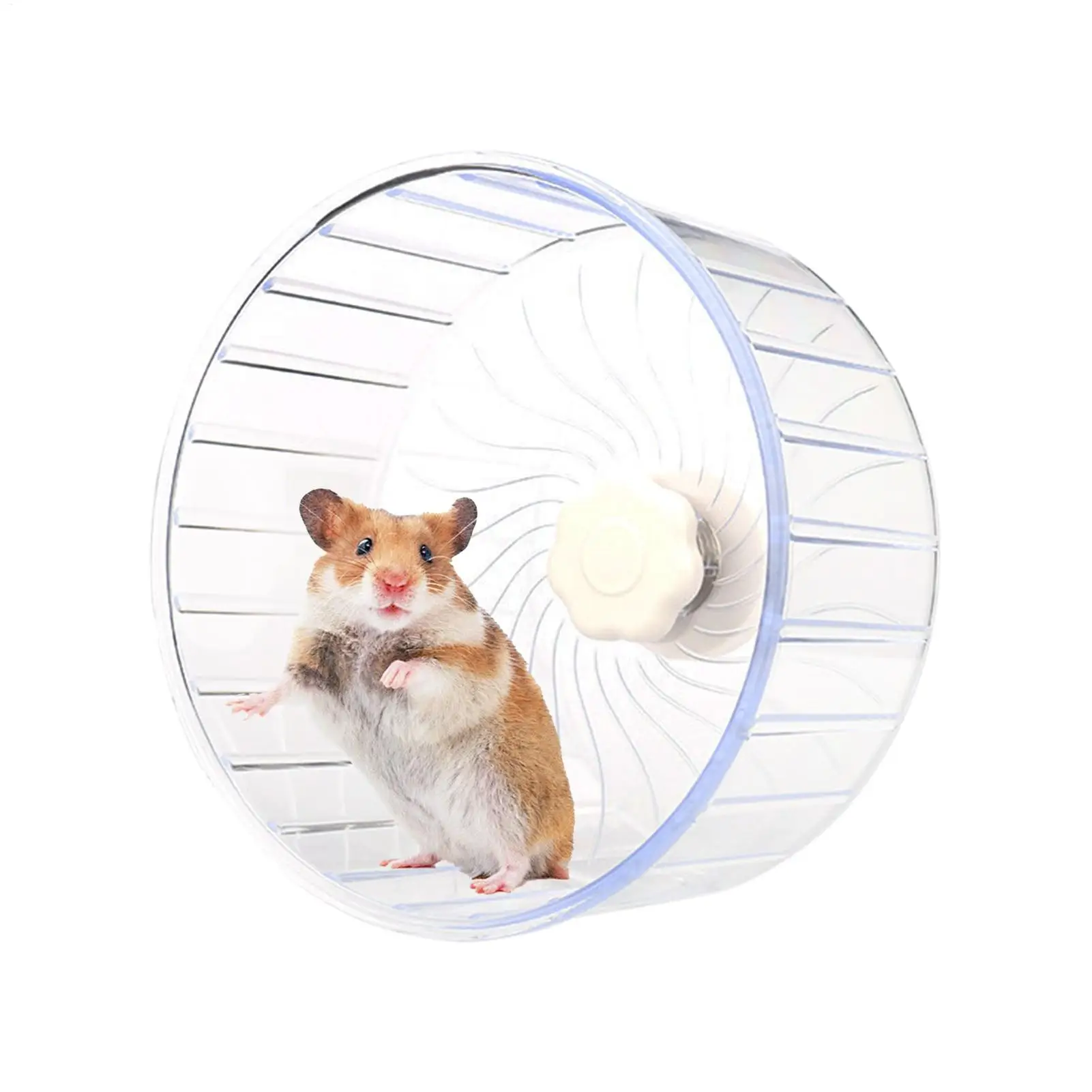 Thumbnail 2 - #31 Compare Hamster Running Wheels Before You Buy