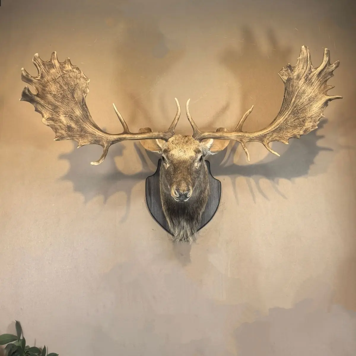 Deer head wall decoration real deer head craft resin horn American creative living room background wall bar Nordic entrance