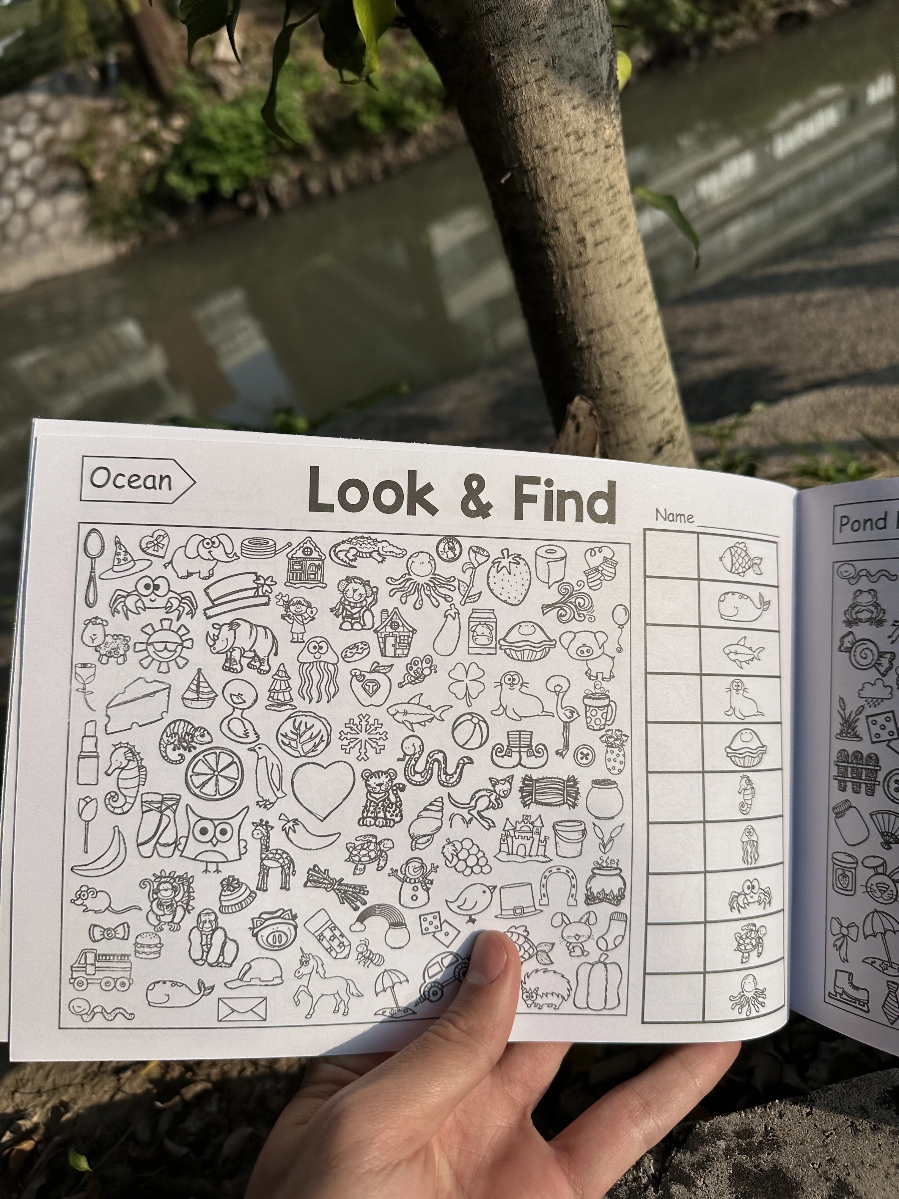 Interactive Hidden Objects Book for Youngsters Concentration Training & Educational Fun with Find and Color Puzzle School Family