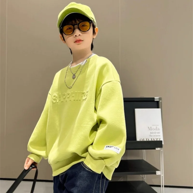 Boys Hoodies Sweatshirts Cotton Tops Outwear 2024 Elegant Spring Autumn Kids Christmas Gift Teenagers Children's Clothing