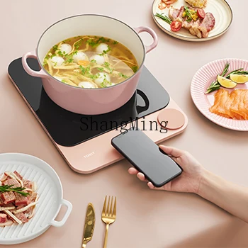 ZYY fornello a induzione domestico ultrasottile wok a risparmio energetico set multifunzionale mini fornello a induzione