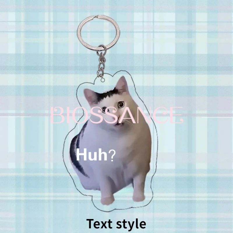 BIOSSANCE New Fashion And Exquisite Huh Doubtful Cat Acrylic Keychain Funny Pet Pendant For Men And Women Jewelry Accessories