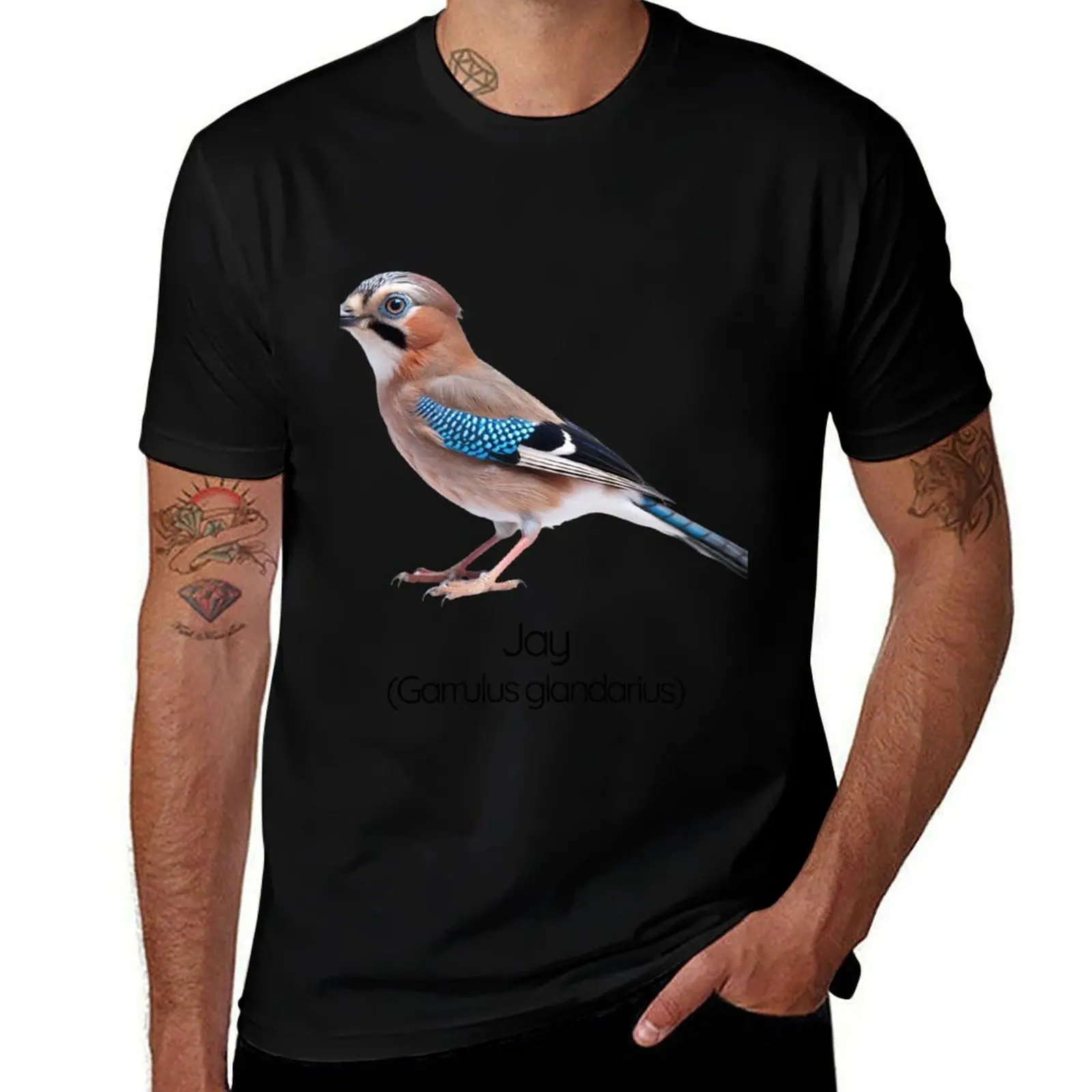 

Jay The Vibrant Woodland Trickster T-Shirt customizeds custom shirt Luxury man men workout shirt