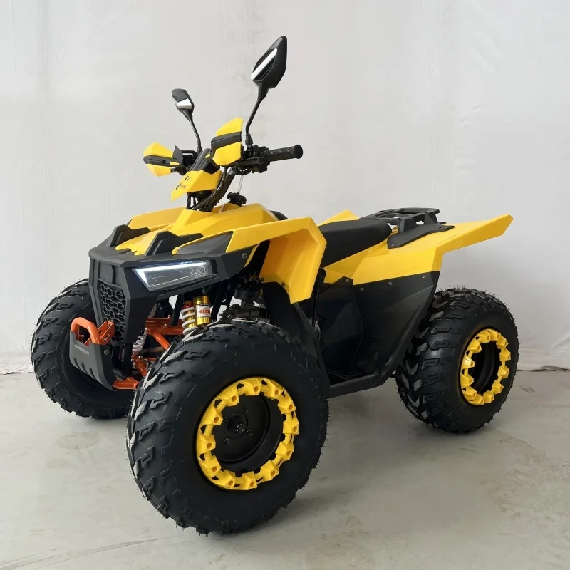 Hot Sale 125cc Automatic 1 Cylinder ATV 4 Stroke 2WD with CE Certification for Teens with Chain Drive