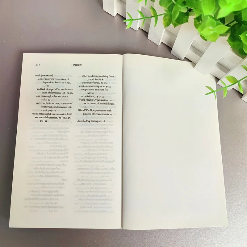 Connessioni perdute Perché non depresse e come trovare lo spero Libri in inglese Libros Livros