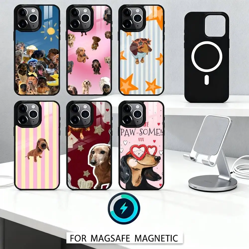 

Styled Dachshund Collage Phone Case For iPhone 16,15,14,13,12,Pro,Max For Magsafe Magnetic Wireless Charging