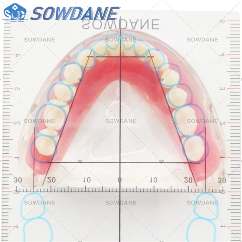 틀니 작업에 새로운 치과 실험실 가이드 플레이트 치아 배열 치과 치아 가이드 플레이트 눈금자