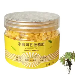 120days Special Controlled Slow Release Fertilizer For Succulent Plant Universa Nutrient Granular Fertilizer For Potted Plants