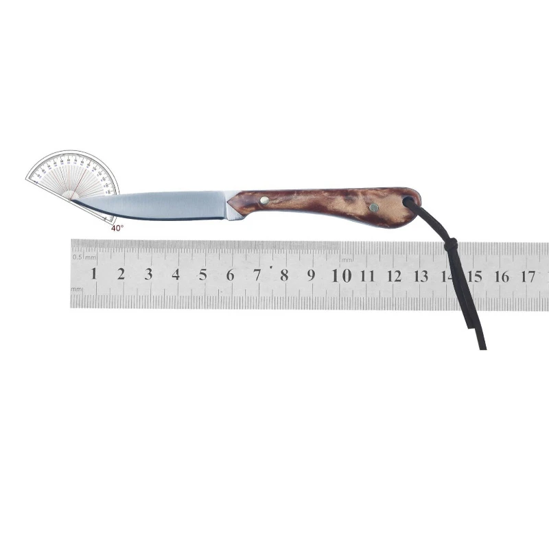Cuchillo táctico de acero inoxidable, hoja fija, mango de resina, cuchillo de caza de frutas para acampar, supervivencia, autodefensa al aire libre, cocina múltiple