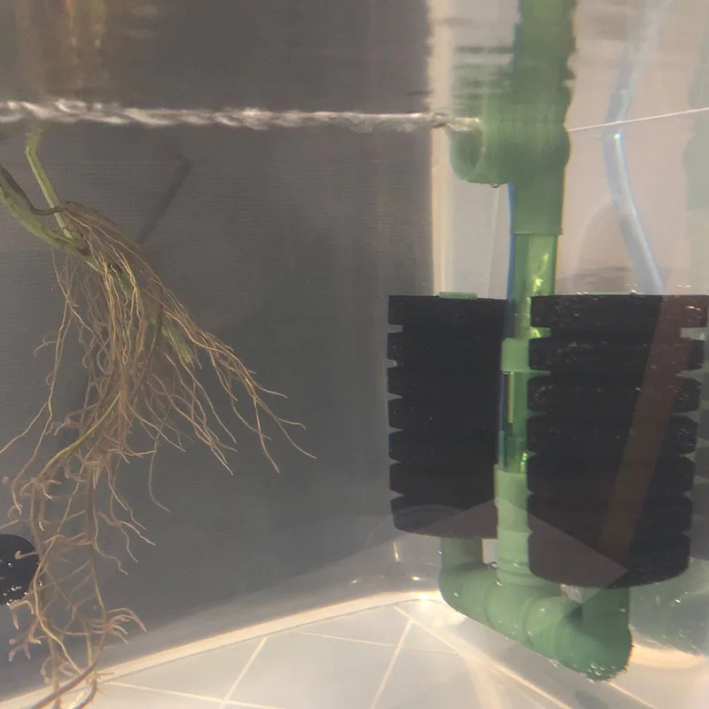 Filtre vert pour aquarium, pompe à air précieuse, écumoire, éponge biochimique