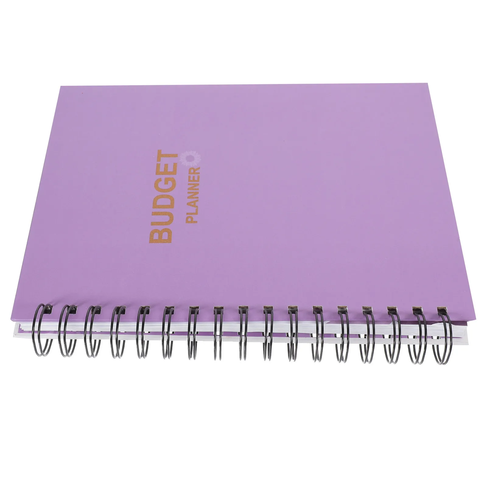 

Budget Planner Spiral Binding Monthly Planning Notebook for Money Organization Financial Tracking and Goal Setting Paper