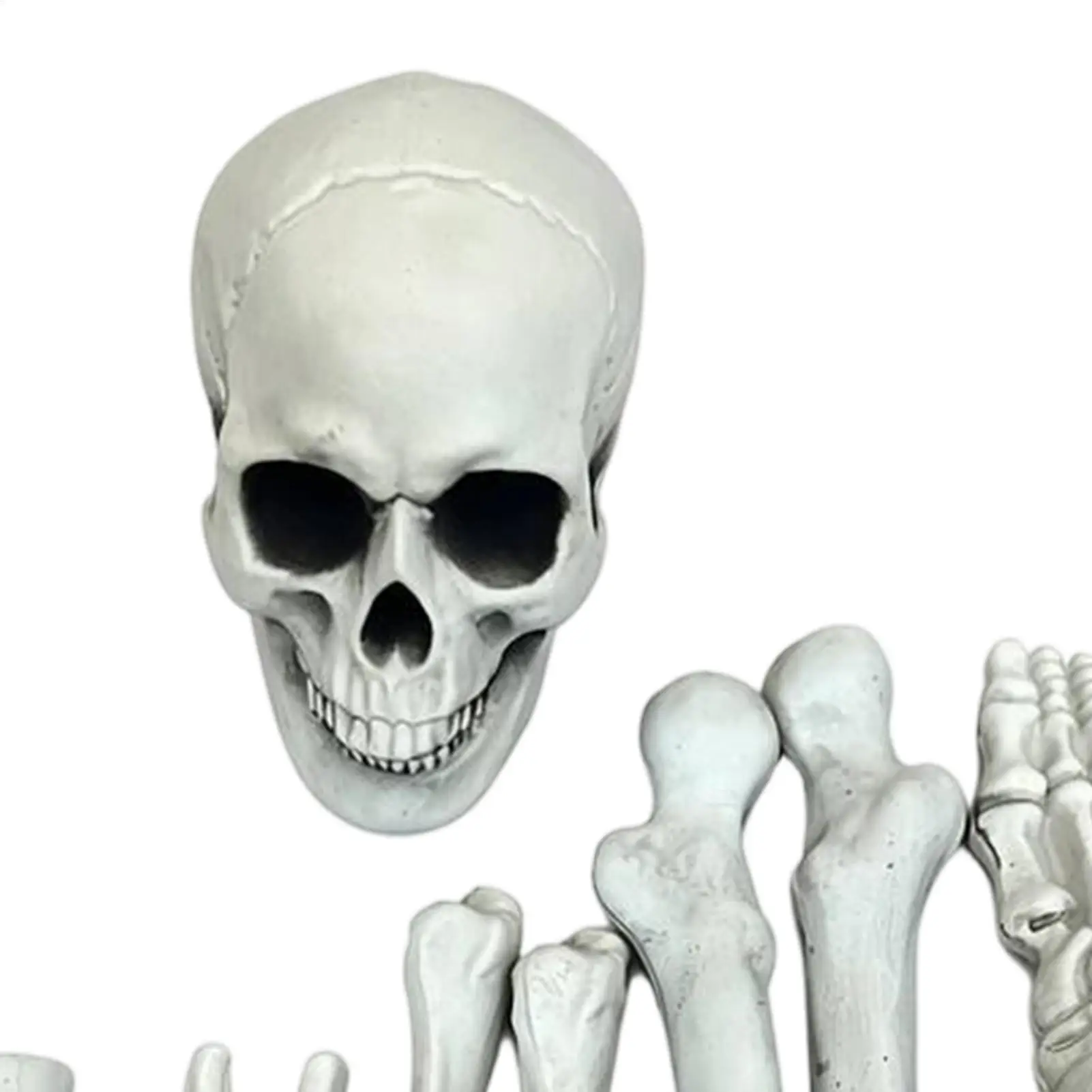 Halloween Skeleton Realistic Halloween Graveyard Skeleton Props Haunted House Bones Decor For Backyard Lawn Garden Outdoor Party