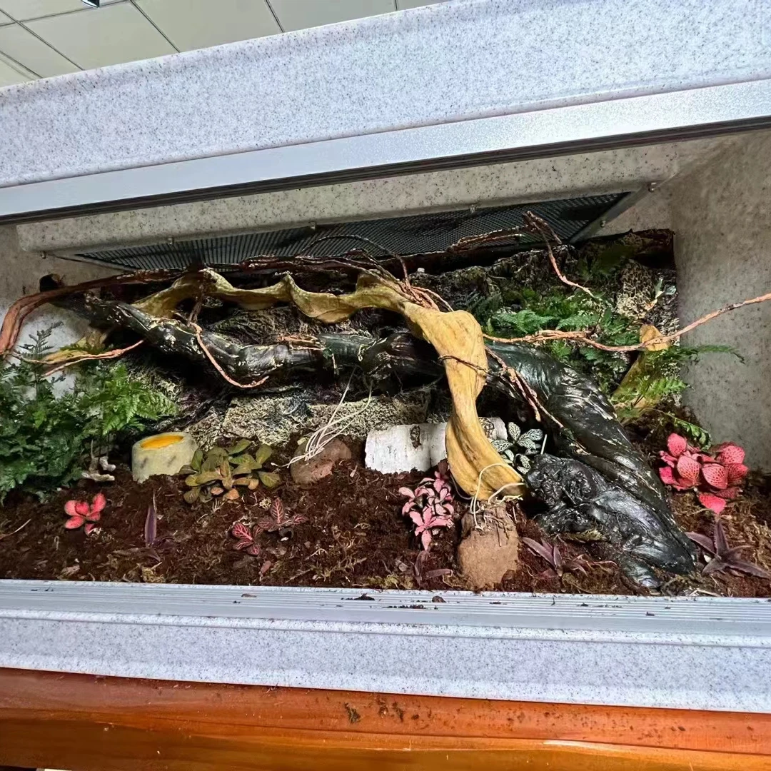 

Террариум для змей 120 см с ременной застежкой, из стекла и пластика, в коробке с пластиковым поддоном