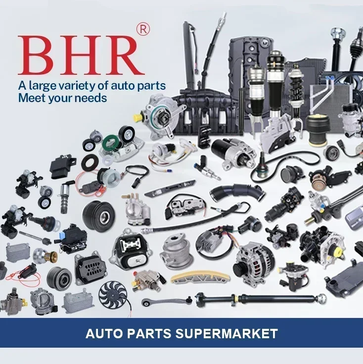 BHR قطع غيار السيارات قفل باب السيارة المحرك قفل السيارة الشركة المصنعة لأودي A8 D3 OE 4E1 837 015 A