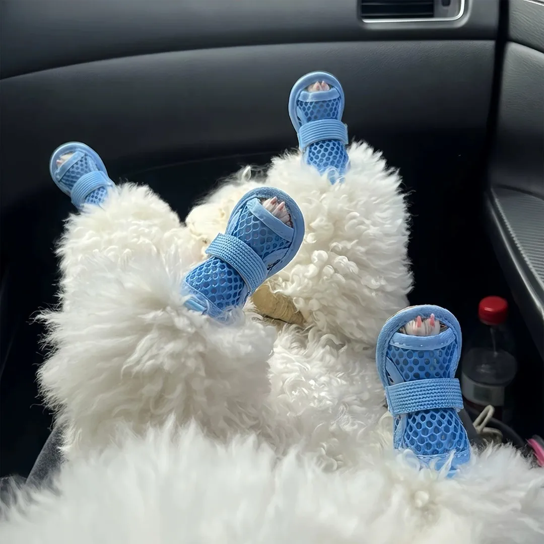 #34 Puppy Boots Ranking List in 2026