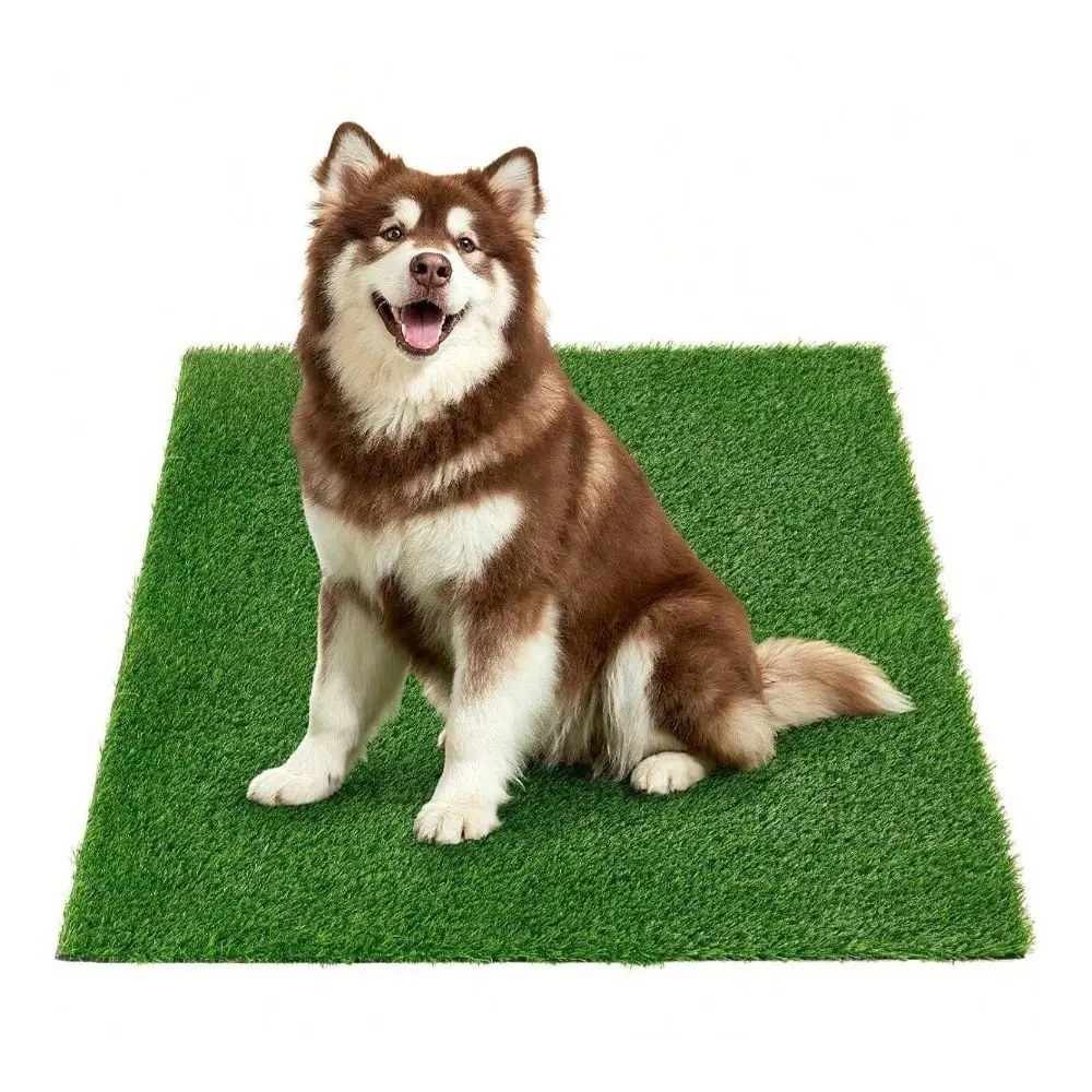 

Turf Grass Outdoor Grass Pad Dogs Indoor Potty Training, Turf Rug Patio Balcony Lawn Apartment Decoration, Easy To Clean With D