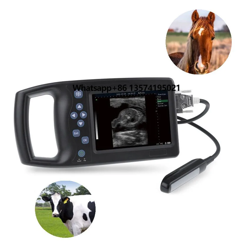 A8 Medical Imaging Portable Veterinary Ultrasonic Diagnostic Instrument for Goats and Sheep