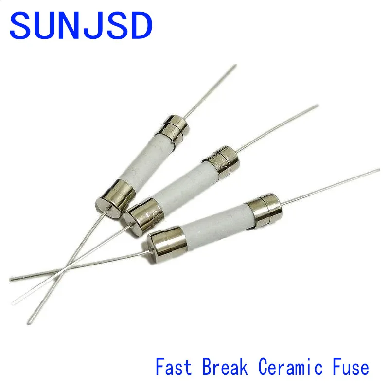 10Pcs Fast Break Ceramic Fuse With a pin 5X20MM 6x30mm 250V 0.5A 1A 2A 3.15A 4A 5A 6.3A 8A 10A 12A 15A 20A 25A 30A SUNJSD