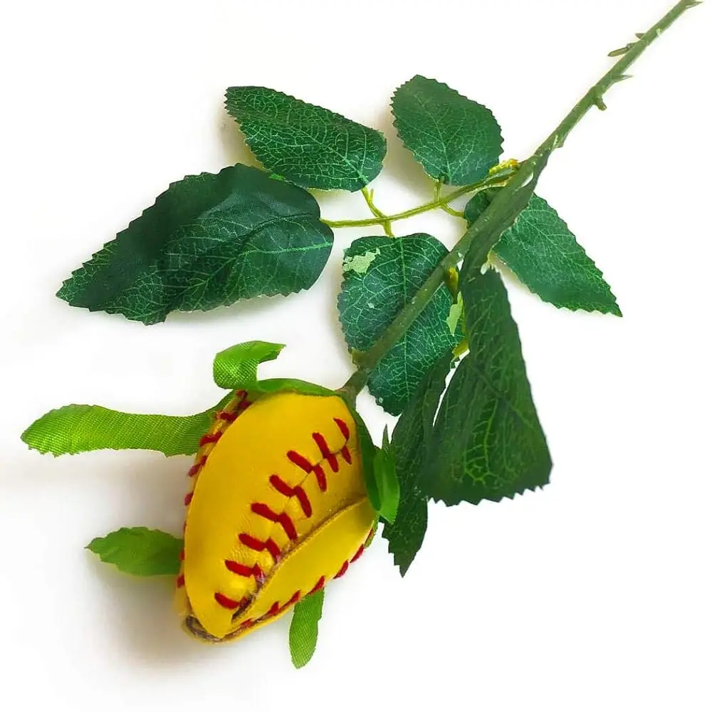 

Софтбол Роза | Подарки для любителей софтбола: настоящая кожаная мячевая лента для софтбола