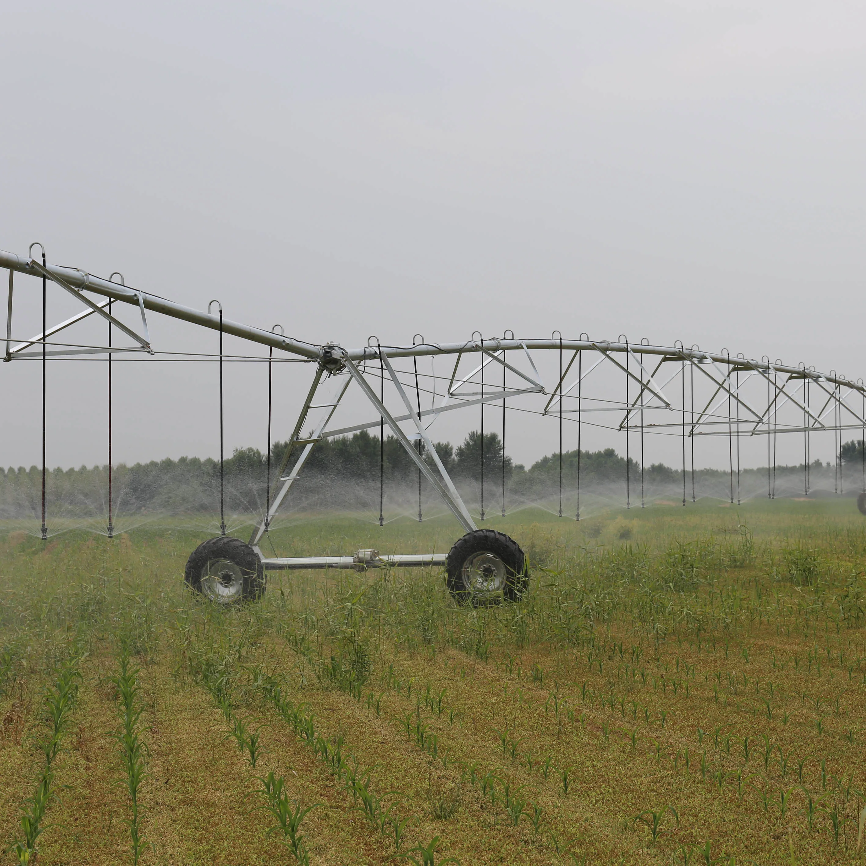 Big Rain  Pivote Axial Spraying Sprinkler Center Pivot Irrigation System