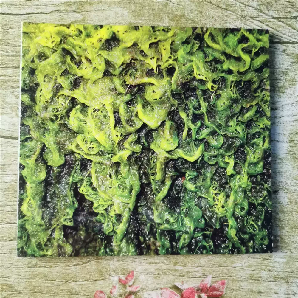 Cd High Places High…