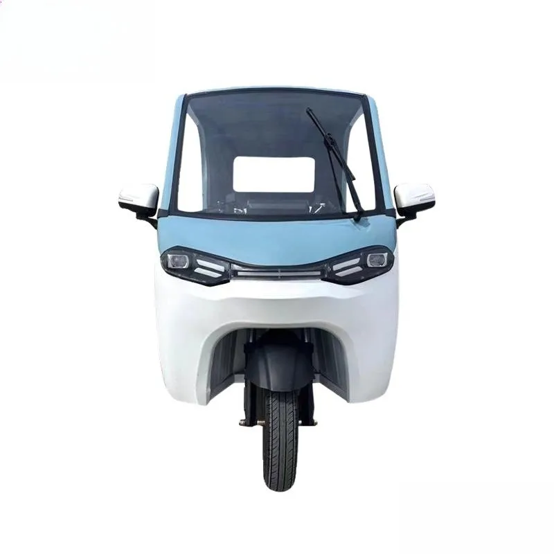 Closed Ribbon Shed Convertible Old Man Small Adult Electric Tricycle Home