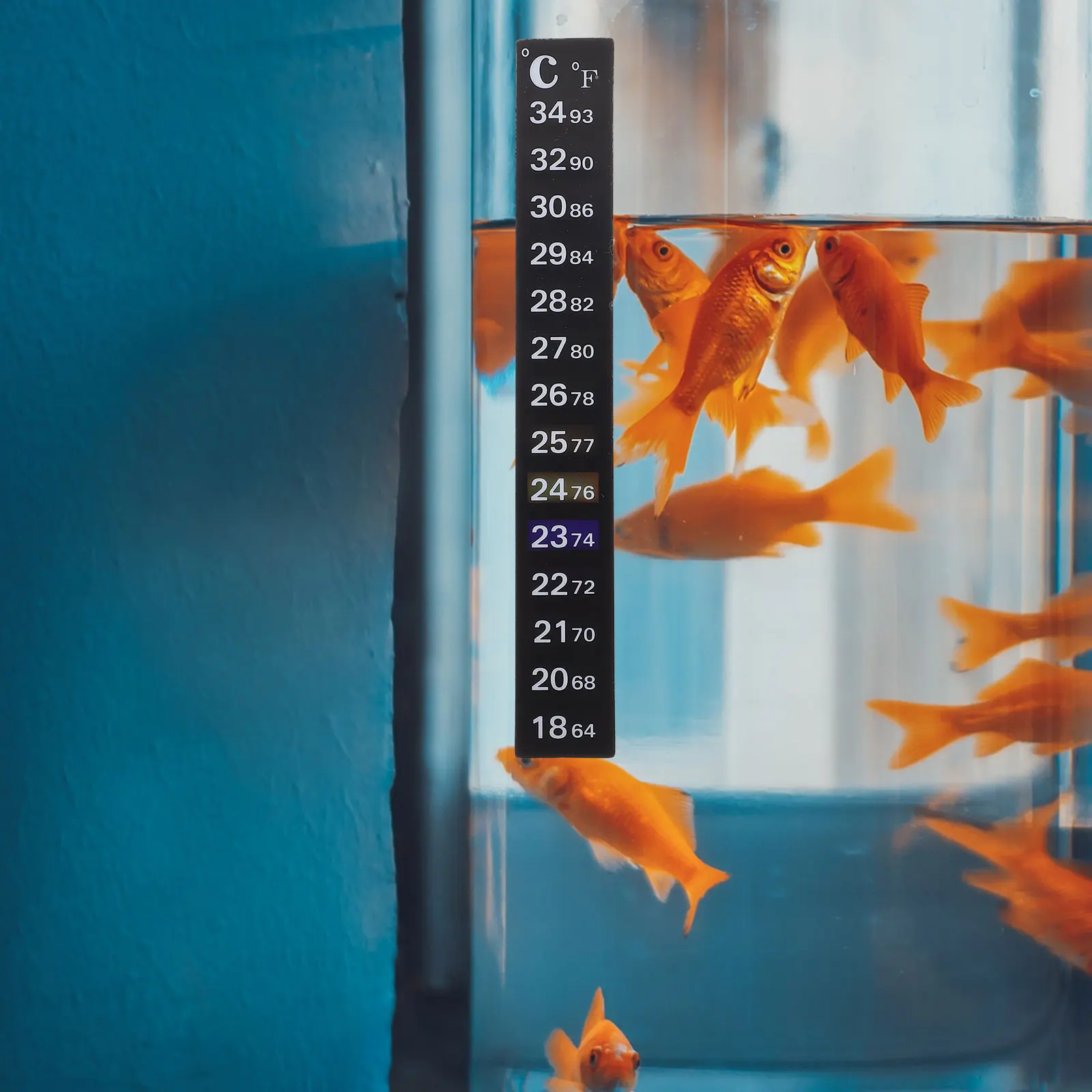 

2 Pcs Temperature Adhesive Thermometer Sticker for Aquarium Fish Tank Black Strips Easy Use Accurate Digital Practical Safe Pet