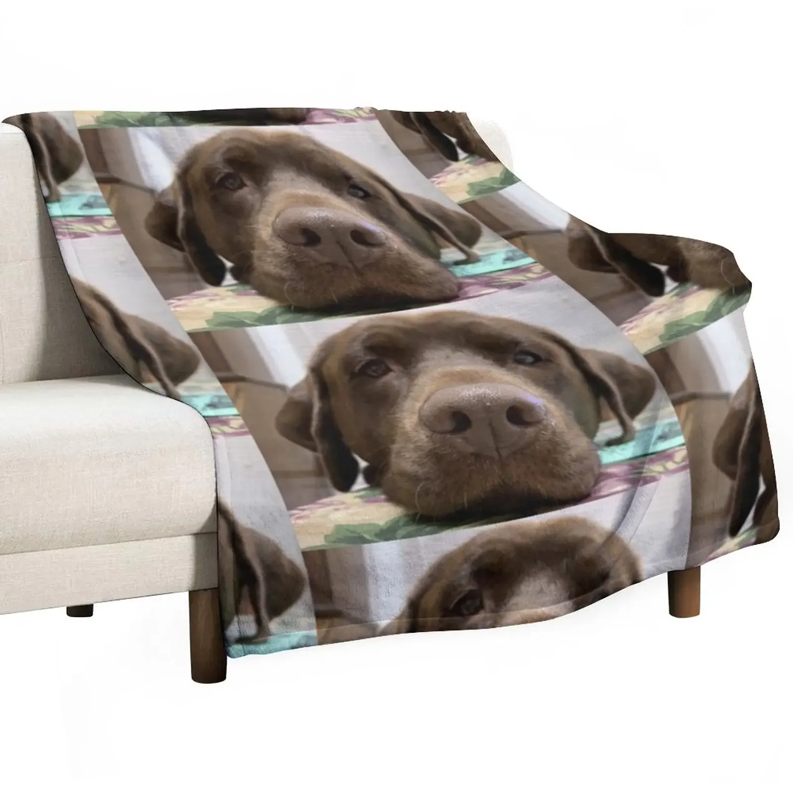 

Chocolate Lab/Mix Throw Blanket Decorative Sofa Luxury Designer Blankets Sofas Of Decoration Shaggy Blankets