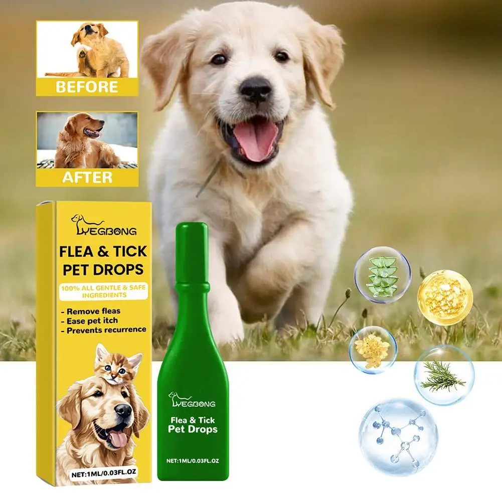 1pcs Dogs And Cats Anti Flea Drops Lice Remove Relieve Skin Itching Insect Supplies Pet Treatment Drops External Tick Repel K6D1