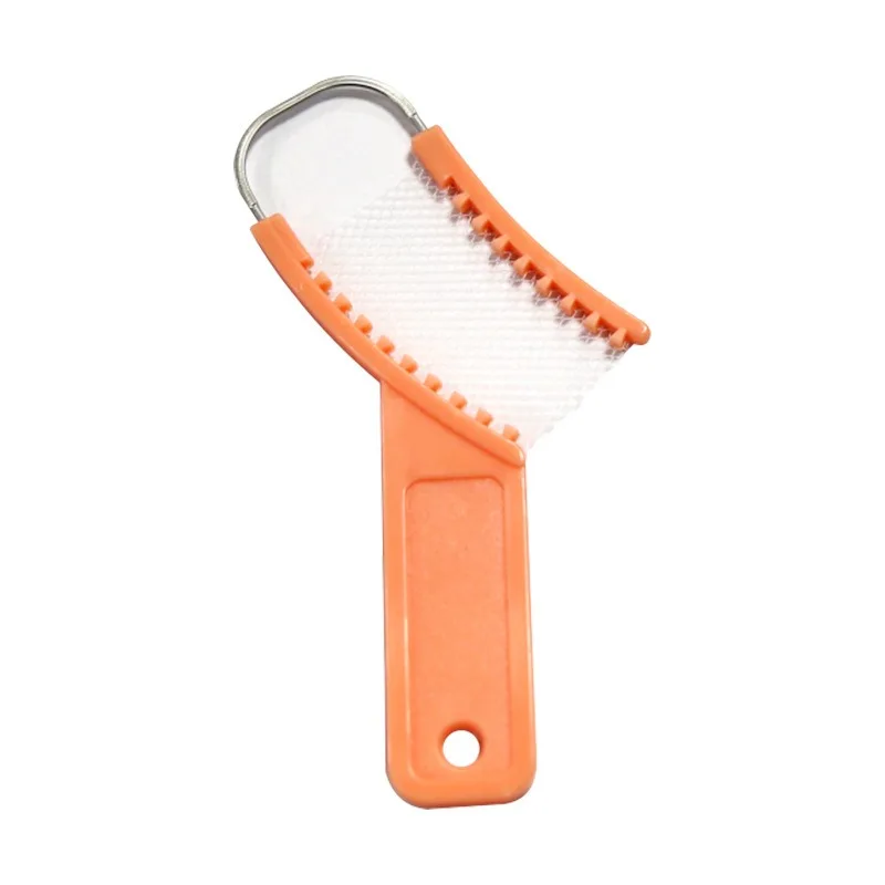 

3 PCS Dental Disposable Mesh Bite Dental Tray Mesh Dental Tray