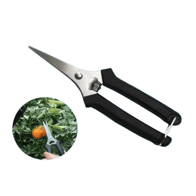 Stainless Steel Fruit Picking Shears With Sharp Blades Non Slip Handles For Gardening Harvesting Fruits Vegetables Flowers