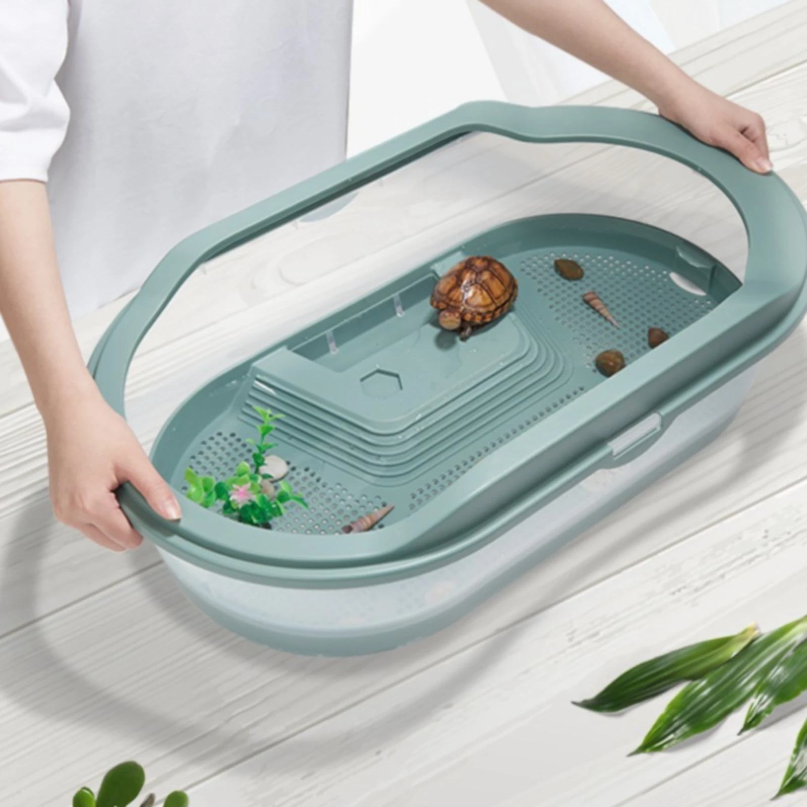 Turtle Rearing Basin Raised Platform Shallow Turtle Basin Pet Enclosure Plastic Perforated