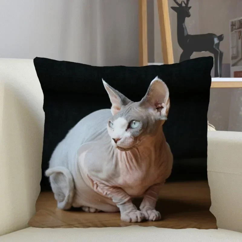 Musife- Funda de almohada Personalada de gato Sphynx, 45x45cm, con cremallera cuadrada, envío Dir dir dir dir dirdo, 04,24