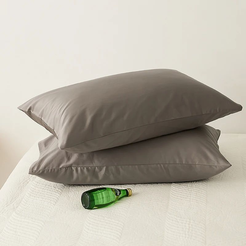 Bonenjoy 2pcs Pillow Cover 100% Egyptian Cotton Pillowcase High Quality Pillowslip Rectangle Cushion Cover Home Pillow Case