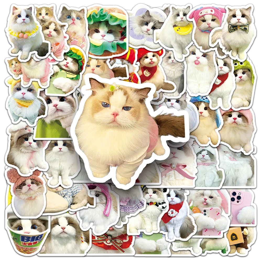 

10/30/50pcs Kawaii Ragdoll Cats Meme Stickers Cute Felis Catus Graffiti Decals DIY Notebook Luggage Phone Funny Animals Sticker