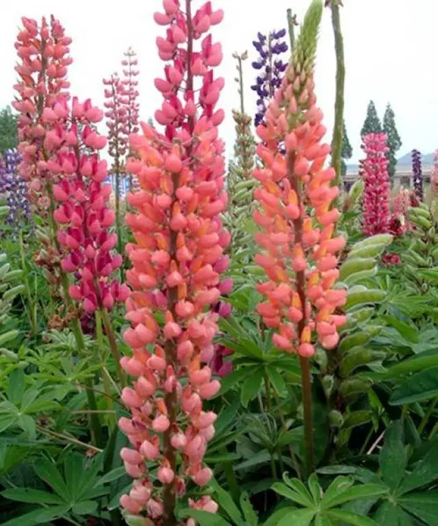 

116 г/шт. 1,9-дюймовый обод колеса с бусинами для 1/10 RC гусеничного автомобиля, осевой SCX10 90046 RedCat Gen8 Trxs TRX-4