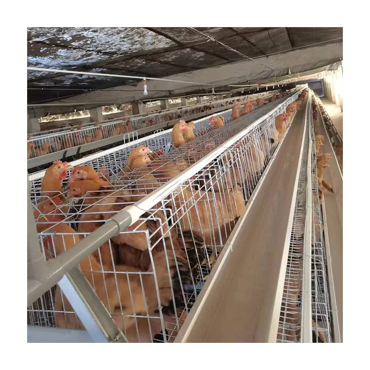 

Высококачественная многослойная клетка из Китая