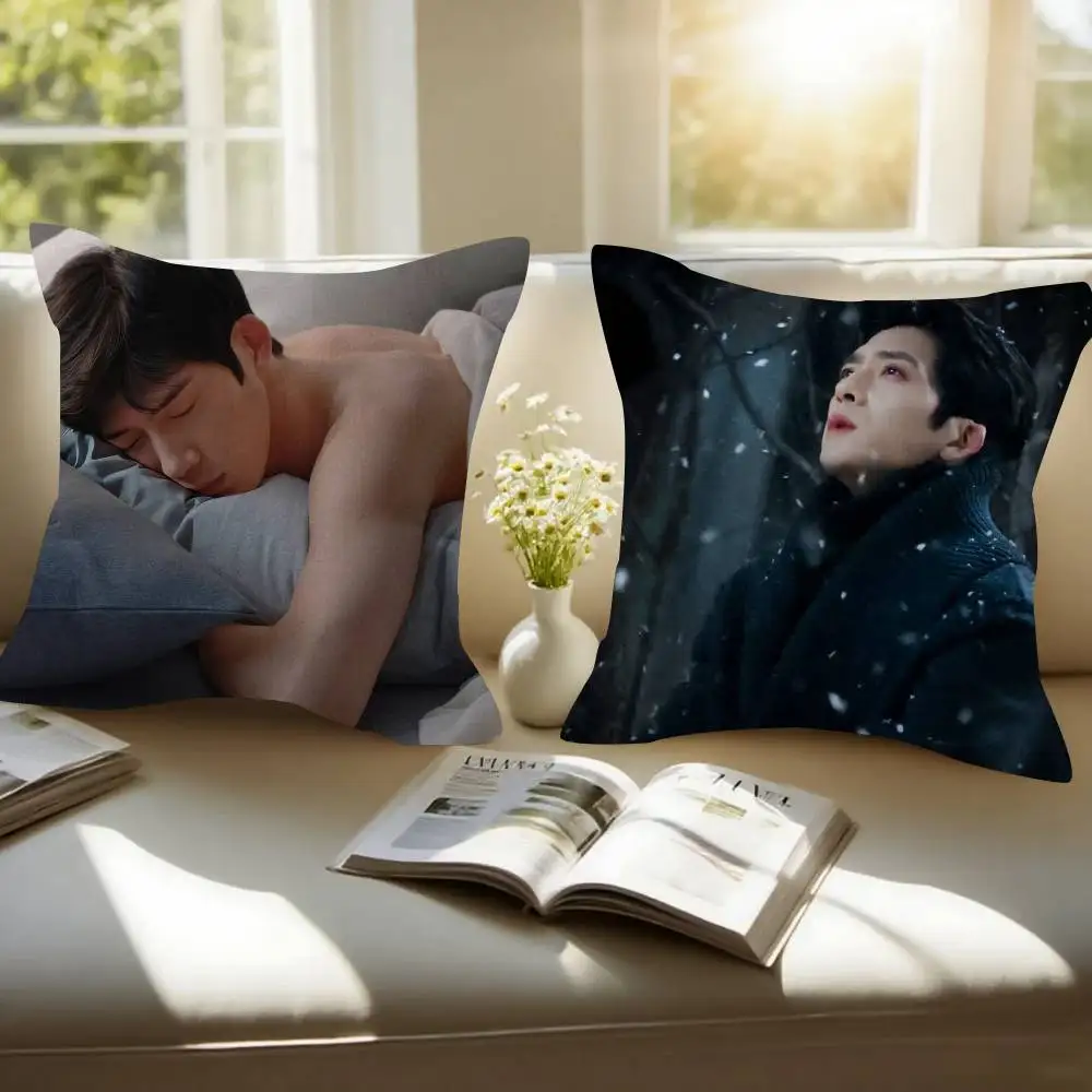 Early Spring Quiet, Jing Boran as Luan Nian Luke   Pillow Gift Home Office Decoration Bedroom Sofa Car Cushion Cover case 45x45