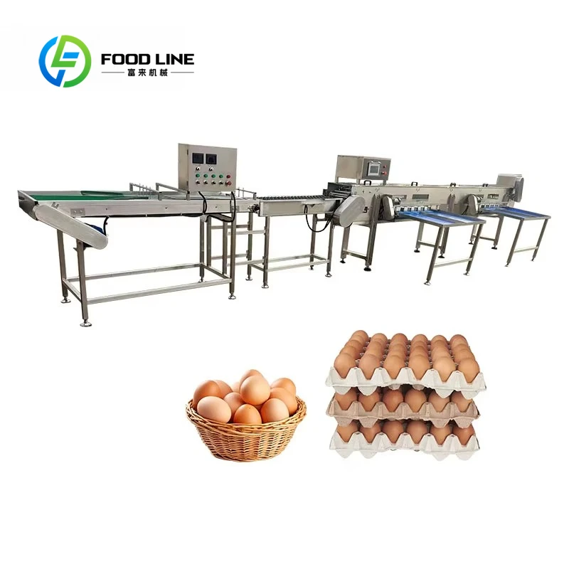 ex-factory price egg grading sorter