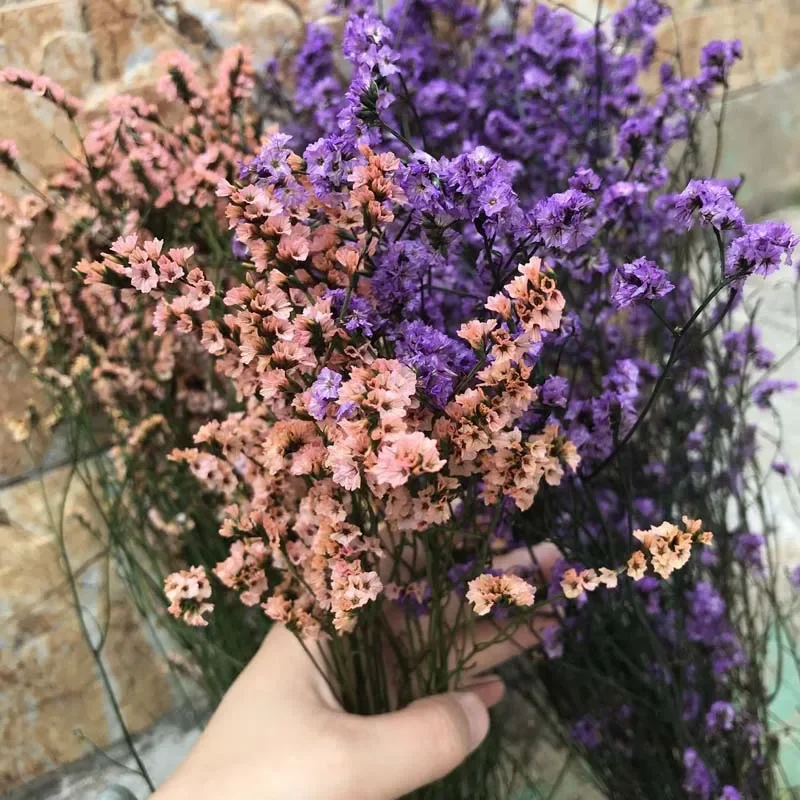 35~42CM/60g Crystal Grass Natural Fresh Dried Preserved Forget me Flowers,Real Forever Lover Grass Branch For Home Decor