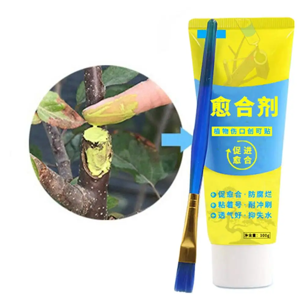 

100g Tree Grafting Paste Tree Wound Paste Smear Agent Plant Heal Tools Pruning Coating Repair Wound Tree Saw Pruning Cuts S G3D6