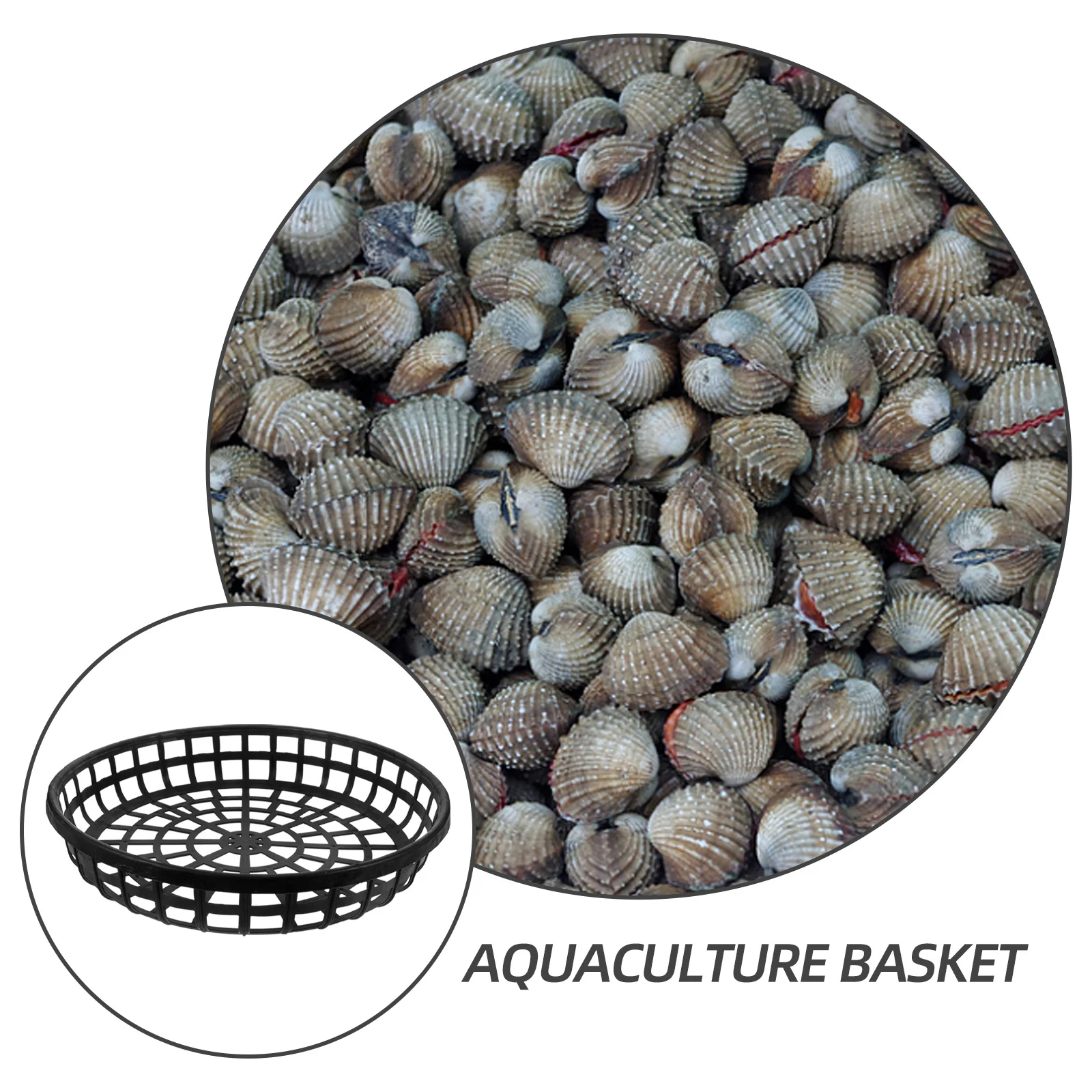 Cesta para cultivo de acuicultura, 4 Uds., para mar, pepino, vieira, ostra, abulón, cultivo, malla de plástico, contenedor de cría, cestas de red
