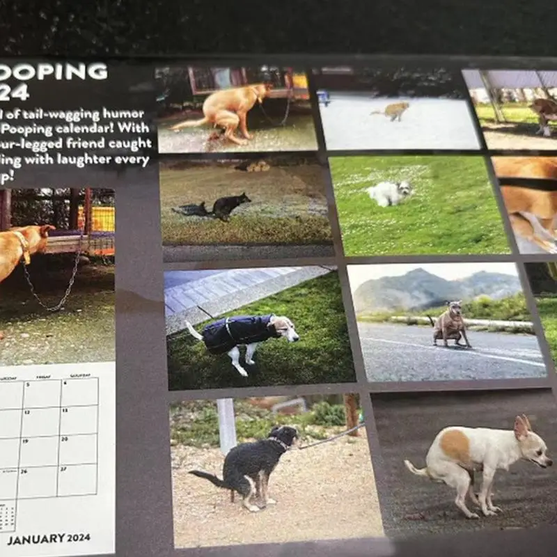 Calendario de pared de perros Pooping 2024 2024, arte mensual de cachorros lindos, calendario de pared colorido de 12 meses, divertido perro