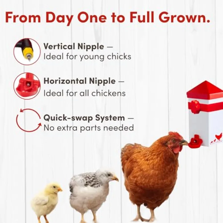 【Spot goods】32oz 1L Drinker Plus 2 Versatile Nipples - Suitable for Chicks Quail Pigeons Doves and Other Smaller Birds - 1 Pack view 6