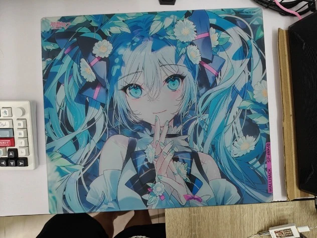 Wallhack Glass Mouse Pad Miku Coated Full Coverage Primer 490x430mm Mousepad Gaming Large Desk Mat Limited Edition Custom Gifts